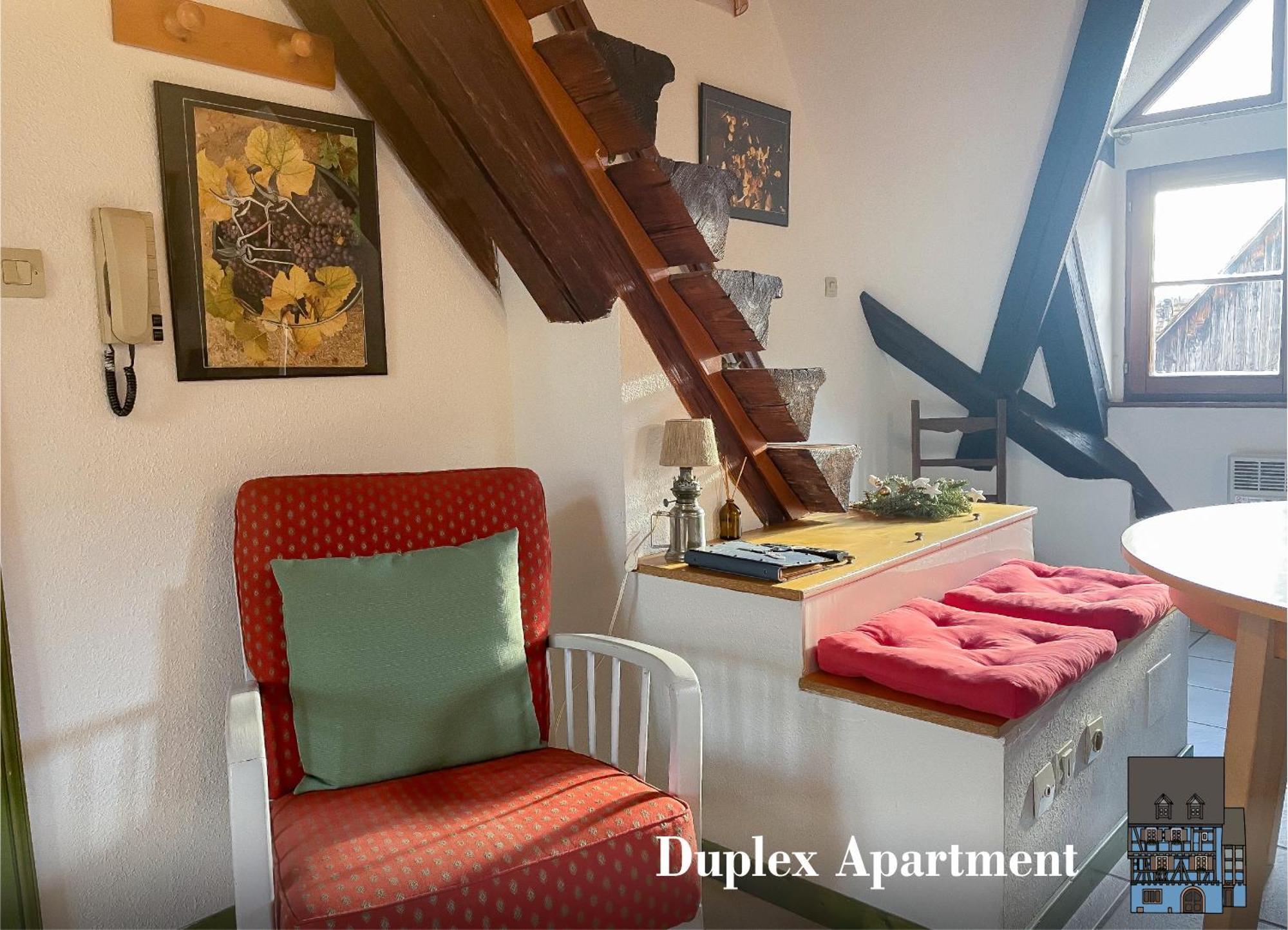 La Maison Bleue - Historic House In The Heart Of Riquewihr Bilik gambar