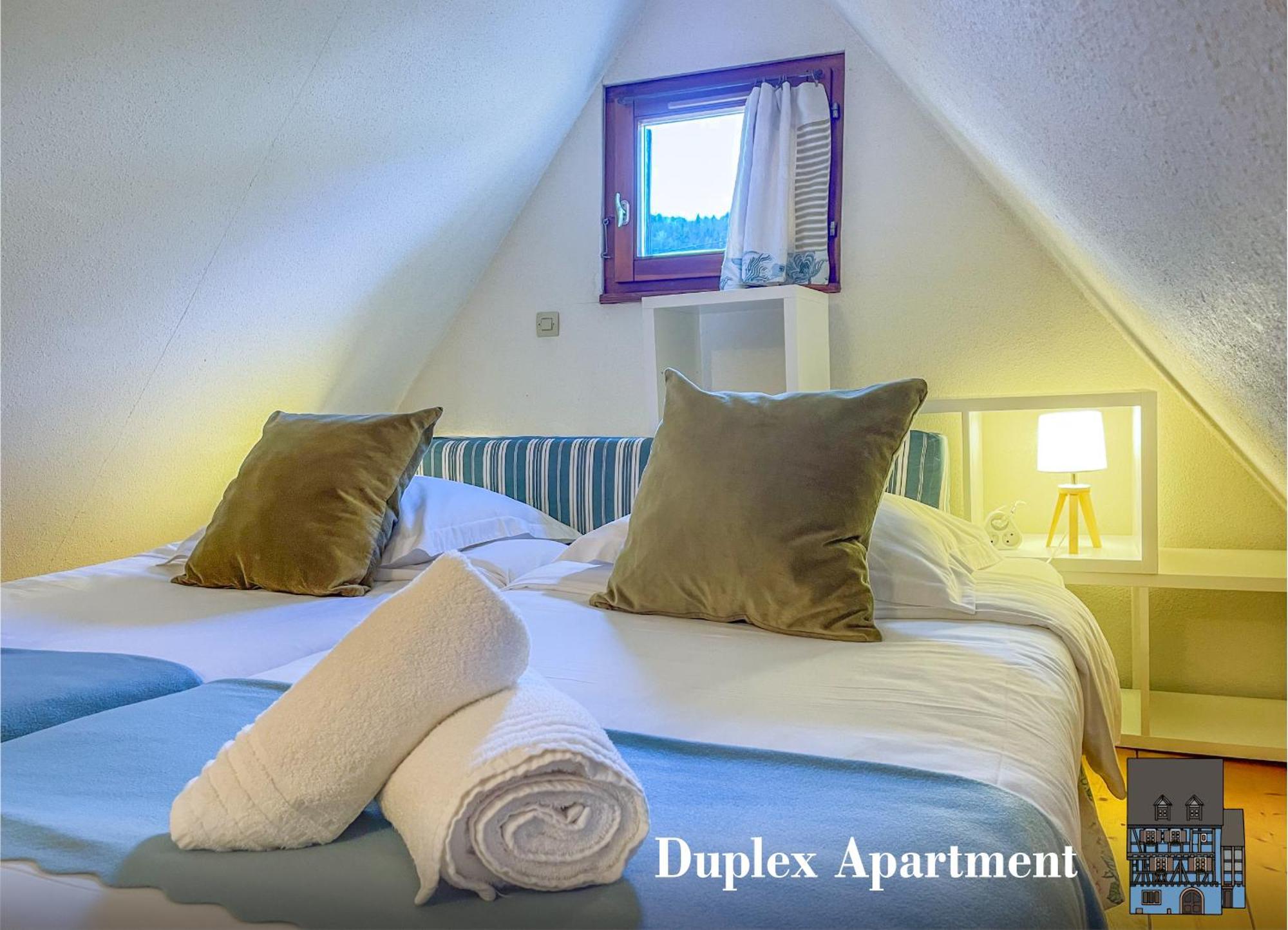 La Maison Bleue - Historic House In The Heart Of Riquewihr Bilik gambar
